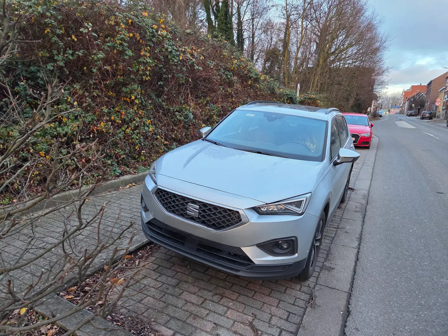 SEAT Tarraco Tarraco 2.0 CR TDi 4Drive Move! DSG Gris - 2