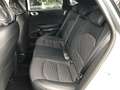 Kia Ceed / cee'd ceed 1,5 TGDI Gold 48V DCT Silber - thumbnail 8
