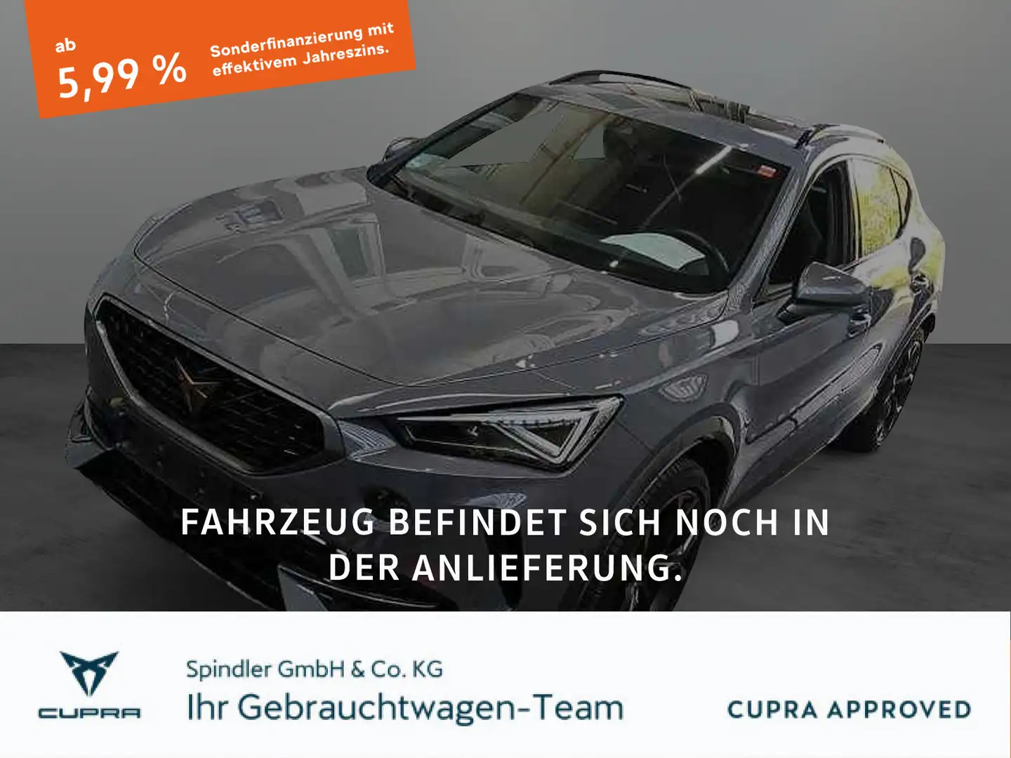 CUPRA Formentor VZ 2.0 TSI 4Drive DSG / Pano, Matrix Grau - 1