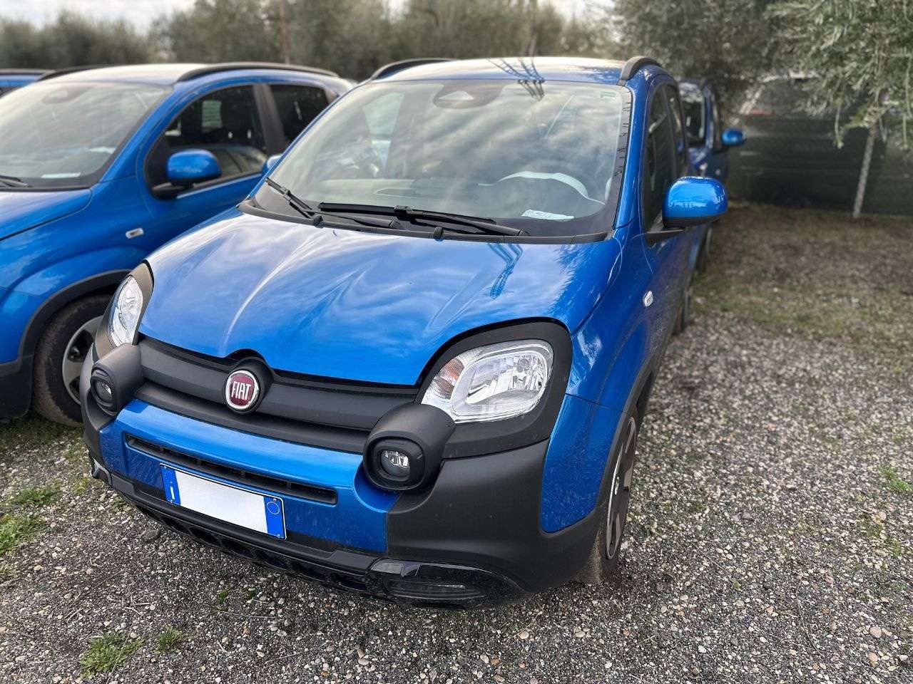 Fiat Panda Cross 1.0 FireFly Hybrid