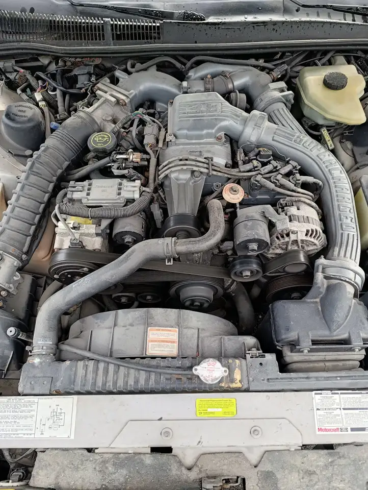 Ford Thunderbird SC 3.8 v6 supercharged, foto 6