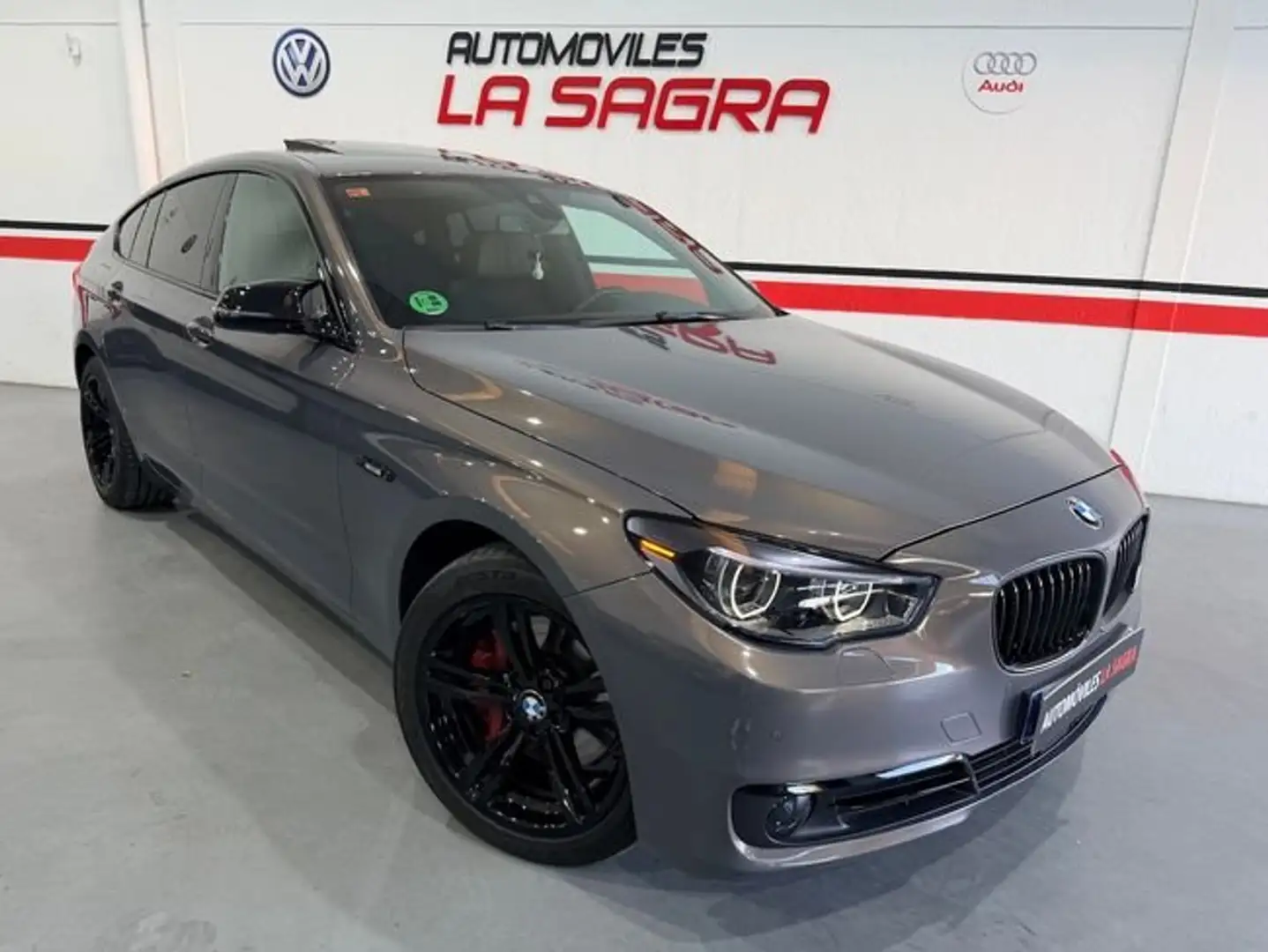 BMW Luxury Line Gris - 1