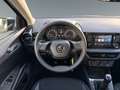 Skoda Fabia Active - Klima*Sitzhzg*PDC*Alufelgen*App Gris - thumbnail 16