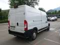 Opel Movano Movano L3H2 BlueHDi 165 S&S 3,5t+ Blanc - thumbnail 7