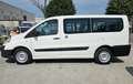 Fiat Scudo Scudo 2.0 MJT PL COMBI 8 POSTI TRASPORTO DISABILI Bianco - thumbnail 3