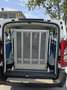 Fiat Scudo Scudo 2.0 MJT PL COMBI 8 POSTI TRASPORTO DISABILI Bianco - thumbnail 14