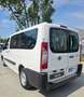 Fiat Scudo Scudo 2.0 MJT PL COMBI 8 POSTI TRASPORTO DISABILI Bianco - thumbnail 6