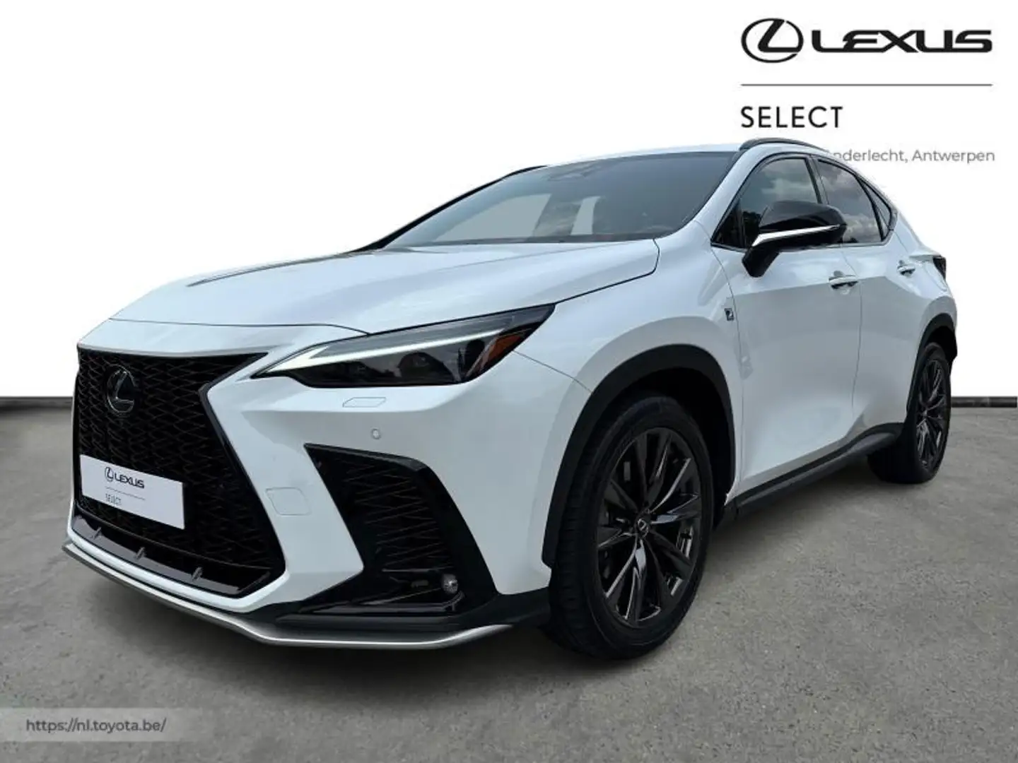 Lexus NX 450h+ F-Sport Line + sunroof Blanco - 1