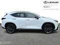 Lexus NX 450h+ F-Sport Line + sunroof Blanco - thumbnail 14