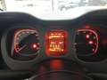 Fiat Panda 1.0 FireFly S&S Hybrid City Cross Grigio - thumbnail 13