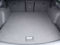 CUPRA Leon TRIBE 2.0 TDI 150 Grau - thumbnail 13