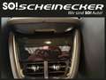 Polestar 3 Polestar 3 Long Range 111kWh Dual Motor Plus Pi... Blau - thumbnail 11
