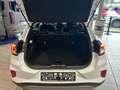 Ford Puma 1.0 EcoBoost Titanium X LED KlimaA Navi PDC Weiß - thumbnail 11
