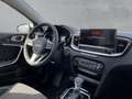 Kia XCeed SPIRIT 1.5 T-GDI*XCLUSIVE-PAKET*RÜCKFAHRKAMERA* Weiß - thumbnail 15