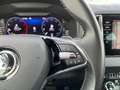 Skoda Karoq 2,0 TDI DSG Ambition Tour | VIRTUAL/ACC Grau - thumbnail 39