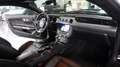 Ford Mustang 5.0  V8 GT 500 Shelby Look *Auto*Xenon* Negru - thumbnail 9