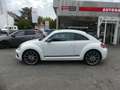 Volkswagen Beetle Lim. Club BMT DSG Weiß - thumbnail 1