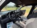 Toyota Yaris Cross Blanco - thumbnail 13