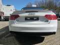 Audi A5 Cabrio 2.0 TDI  quattro S-line Sport Edition Plus Wit - thumbnail 10