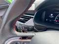 Skoda Kamiq Monte Carlo 1.0 PANO/TEMP/SHZ/PDC Grün - thumbnail 12