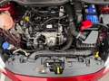 Ford Fiesta 1.1 - Trend - Cruisecontrol Rojo - thumbnail 20