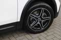 Mercedes-Benz GLB 250 4MATIC AMG Pakket AMG NightPakket (Panoramadak Spo Wit - thumbnail 34