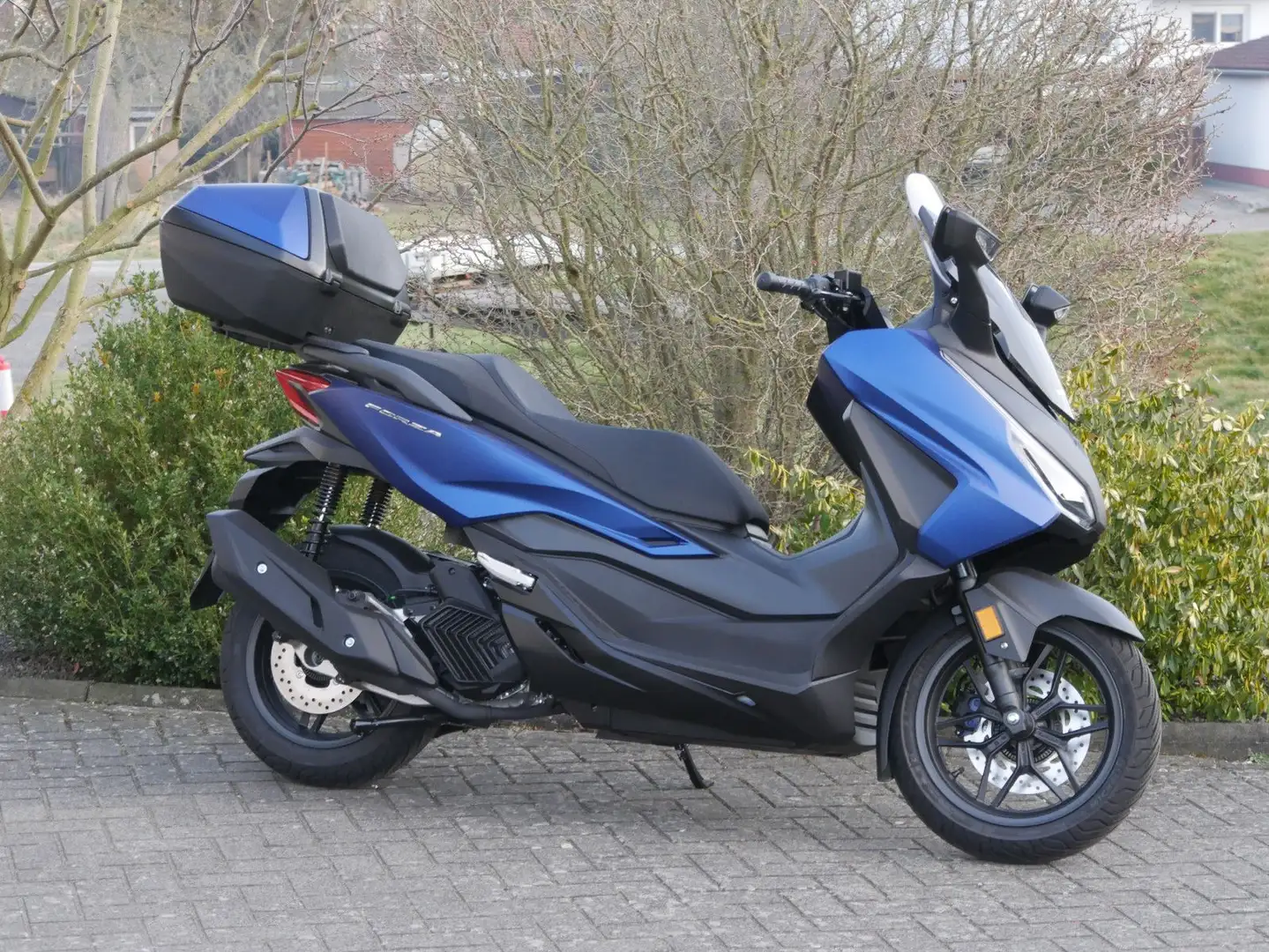 Honda Forza 125 Mod. 2025 "Deal-Days" 500€ sparen Mavi - 1