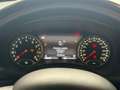 Jeep Renegade 1.0 T3 Limited Grigio - thumbnail 15