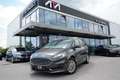 Ford Galaxy Galaxy 2,0 EcoBlue SCR Titanium Aut. Grau - thumbnail 1