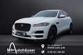 Jaguar F-Pace 2.0 Diesel KAT Pure AWD,Navi,AHK,EPS,SHZ, Weiß - thumbnail 1