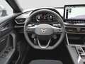 CUPRA Formentor VZ 2.0 TSI-7-Gang DSG 4Drive Grau - thumbnail 14