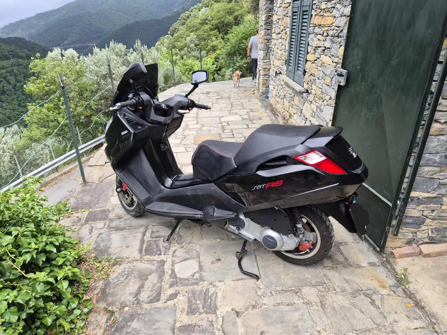 Peugeot Satelis 250 Rs Schwarz - 2