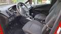 Ford B-Max 1.5 TDCi Rosso - thumbnail 9