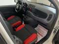 Fiat New Panda Panda III 2016 1.2 Pop s   IVA COMPRESA ! Wit - thumbnail 14