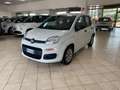 Fiat New Panda Panda III 2016 1.2 Pop s   IVA COMPRESA ! Wit - thumbnail 1