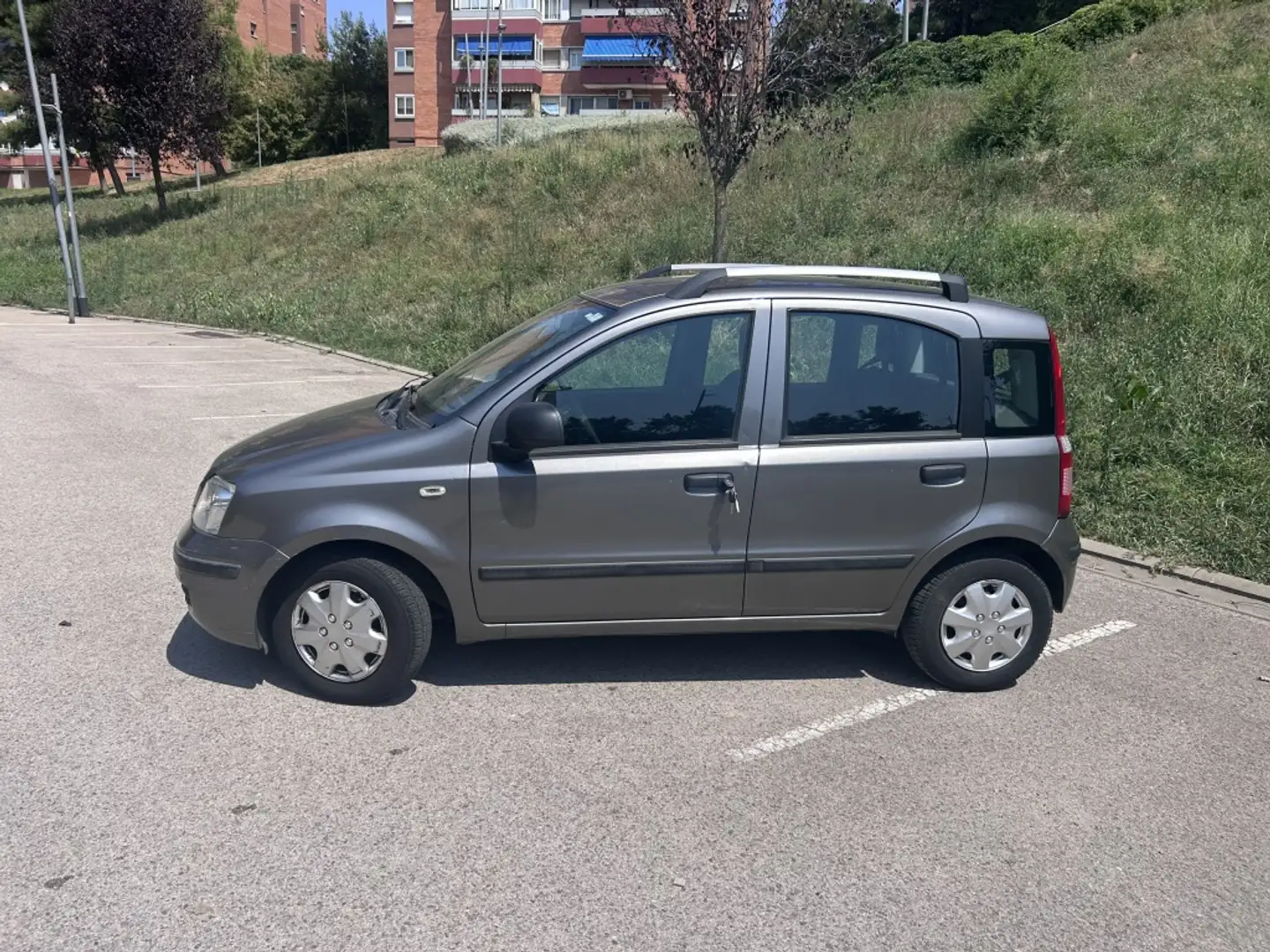 Fiat Panda 1.2 Dynamic Grau - 2