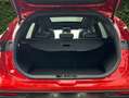 EVO EVO6 1.5 Turbo GLP DCT - Rot - thumbnail 6