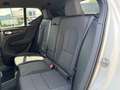 Volvo EX40 300 kW Twin Motor AWD Plus Dark StandHZG Digitales Alb - thumbnail 7