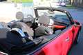 MINI Cooper Cabrio Cooper mit nur 86000 Km! Reserviert!! Rot - thumbnail 11