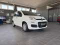 Fiat Panda 1.0  Hybrid 70v - PROMO Bianco - thumbnail 2