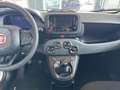 Fiat Panda 1.0  Hybrid 70v - PROMO Bianco - thumbnail 8