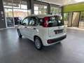 Fiat Panda 1.0  Hybrid 70v - PROMO Bianco - thumbnail 5