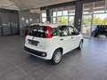 Fiat Panda 1.0  Hybrid 70v - PROMO Bianco - thumbnail 4