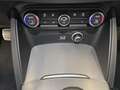 Alfa Romeo Stelvio 2.2 TD 210 CV Veloce AT8 Q4 Grigio - thumbnail 18