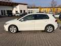 Volkswagen Golf VIII Life 1.5 TGI CNG Erdgas DSG LED ACC 2 x PDC Blanco - thumbnail 16