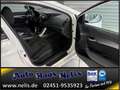 Hyundai i40 cw 1,6 GDI Comfort Sitzheiz PDC 4Season Weiß - thumbnail 27