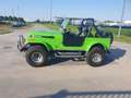 Jeep CJ-7 CJ-7 5.0 V8 - thumbnail 2