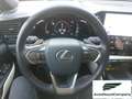 Lexus NX 300 Hybrid Luxury 4WD IVA ESPOSTA Negro - thumbnail 13