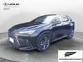 Lexus NX 300 Hybrid Luxury 4WD IVA ESPOSTA Negro - thumbnail 1