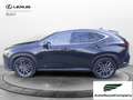 Lexus NX 300 Hybrid Luxury 4WD IVA ESPOSTA Negro - thumbnail 3